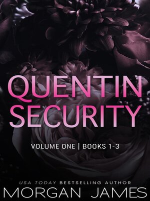 cover image of Quentin Security Series Box Set 1
